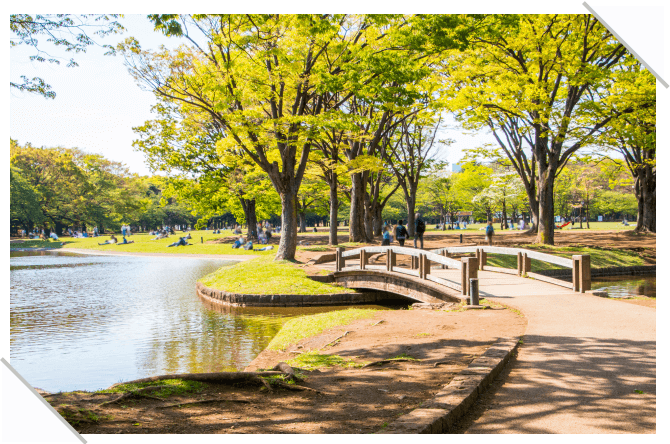 代々木公園（東京）