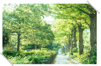 山下公園（神奈川）