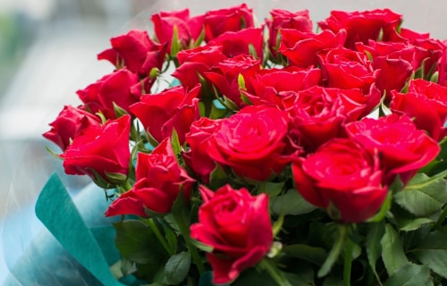 “100％の愛”を伝える100本のバラでプロポーズ